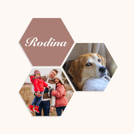 Collection image for: Lehčená deska z PVC